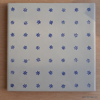 ANTIC S/XVIII DECOR 20X20